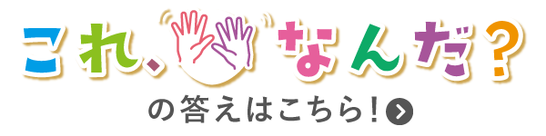 これなんだ
