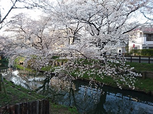 川越　３月